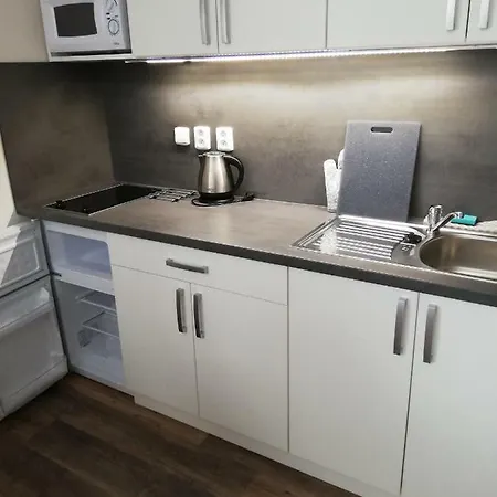 Agatha Apartman Loučná nad Desnou